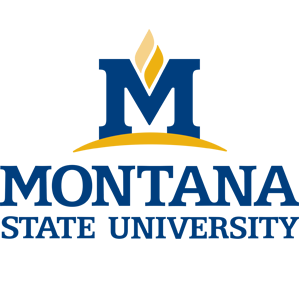 Montana - State - University logo
