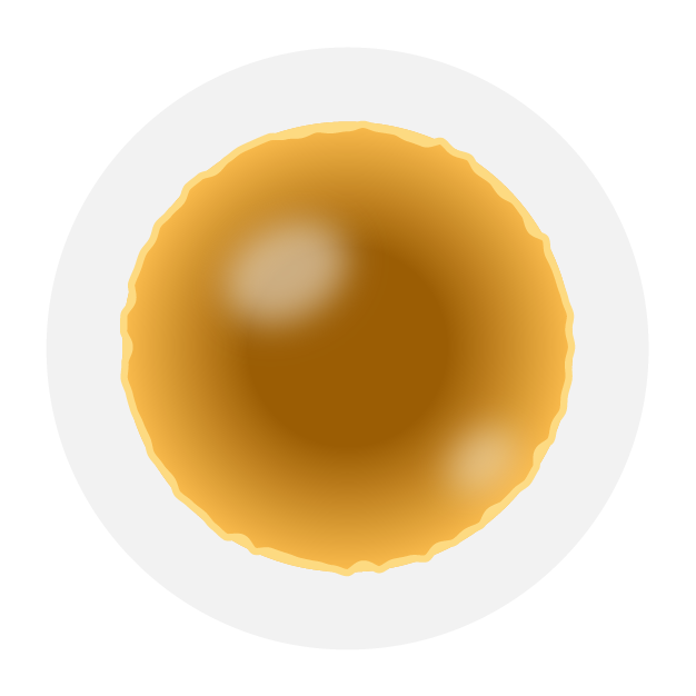 Glossy brown-orange circular disc with a pale edge and white highlights on a black background.