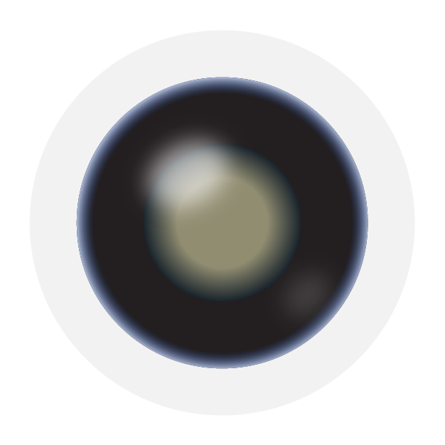 Close-up of a circular lens-like shape with a dark outer ring and a pale beige center.