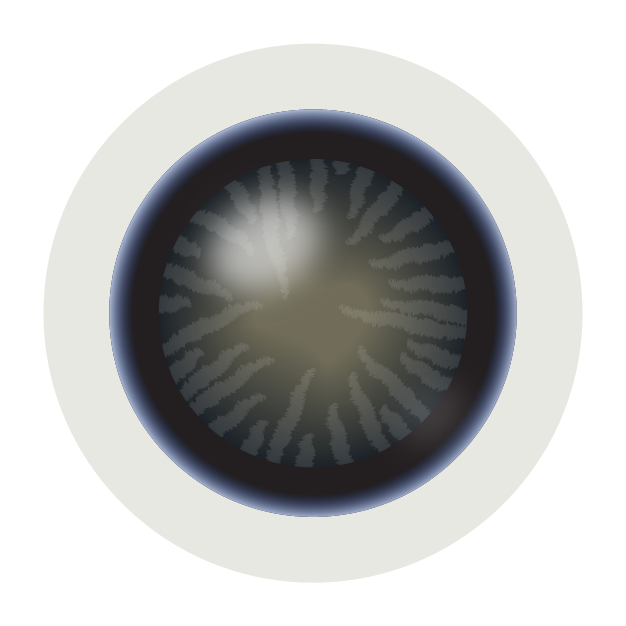 Close-up illustration of a dark iris with radiating patterns and a glossy highlight.