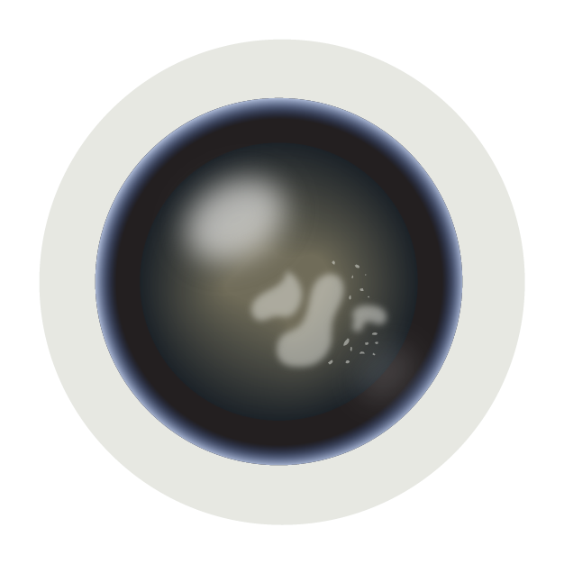 Circular object featuring a dark center, a pale outer ring, and soft white highlights.