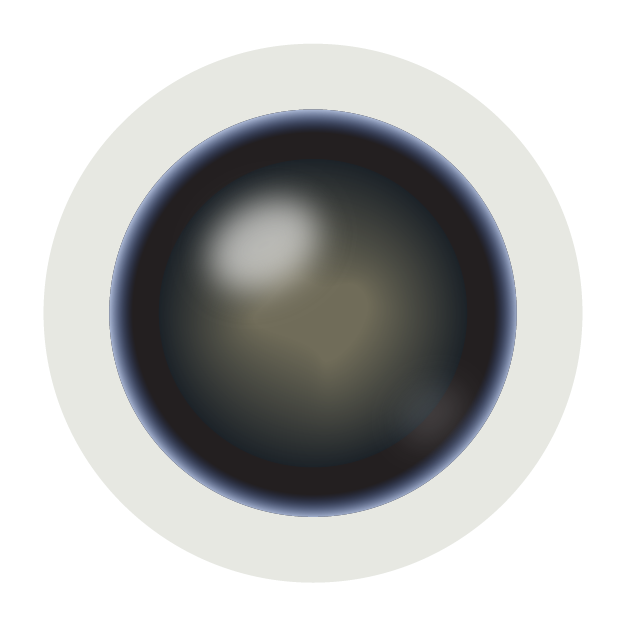 Close-up of a circular, dark-centered shape with a pale outer ring and a small white highlight.