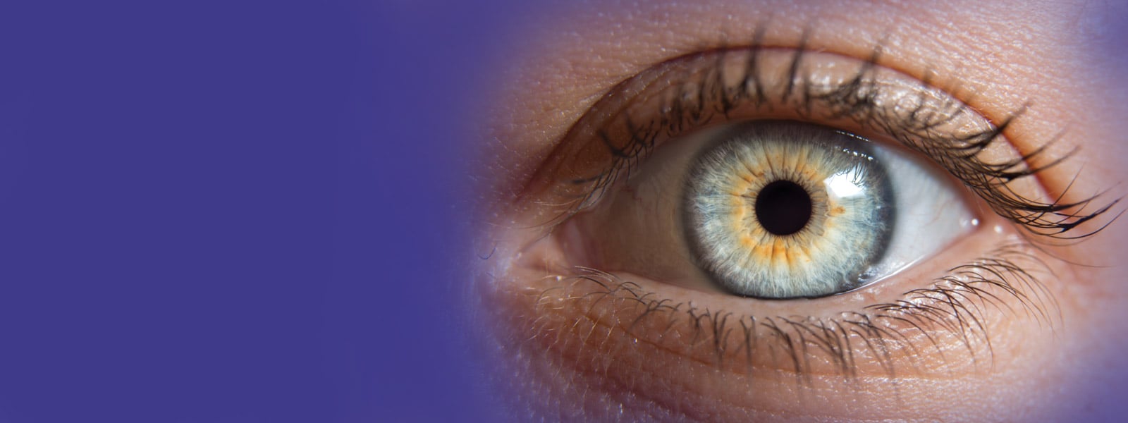 Close-up of a healthy blue eye with a purple overlay, representing advanced eye care and vision health.