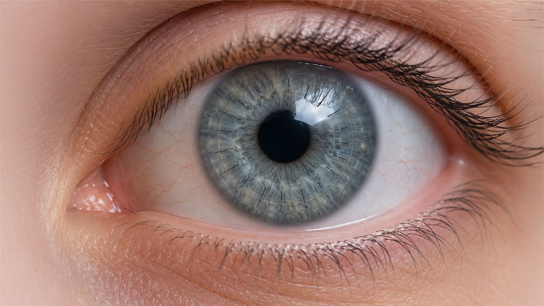 Realistic medical illustration of an eye after corneal transplant surgery for corneal disease treatment in Arizona.